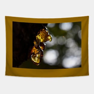 Beautiful Amber Photography Tapestry