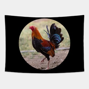 the rooster Tapestry