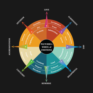 Wheel of emotions PLUTCHIK T-Shirt