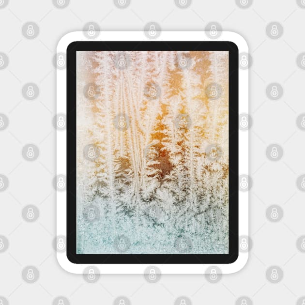 Wintertime - Close Up of Beautiful Ice Crystals in Old Window Magnet by visualspectrum