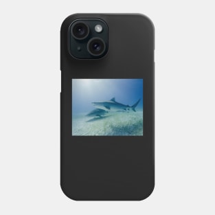 Two Tiger Sharks in the Sun Phone Case