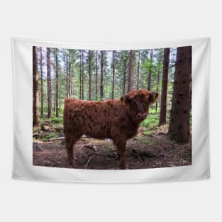 Scottish Highland Cattle Calf 1794 Tapestry