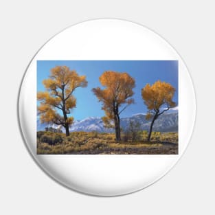 Cottonwood Trees Fall Foliage Carson Valley Pin