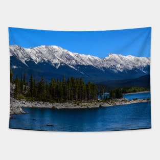 Rocky Mountains scenery. Tapestry