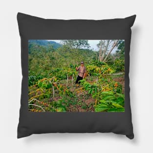 Kopi Pillow