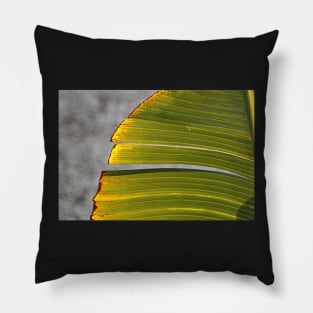 Banana Leaf Pillow