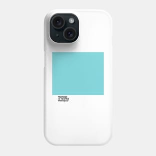 PANTONE 14-4618 TCX Waterspout Phone Case