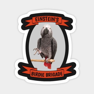 Birdie Brigade African Grey Parrot Magnet