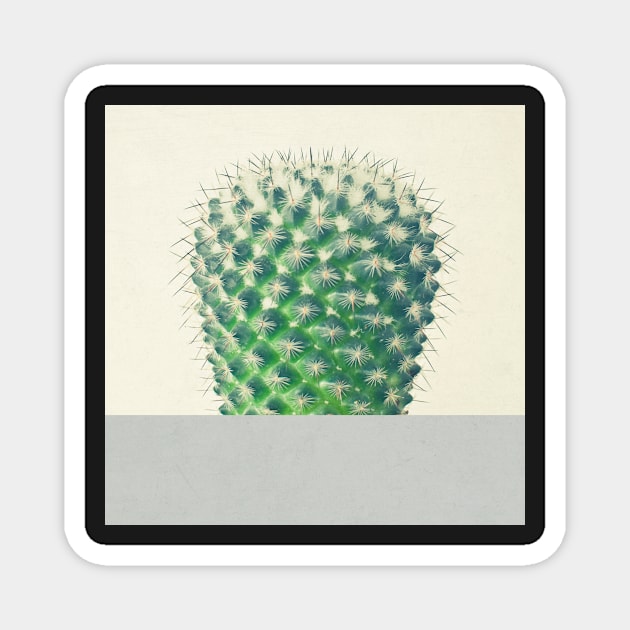 Cactus Dip Magnet by Cassia