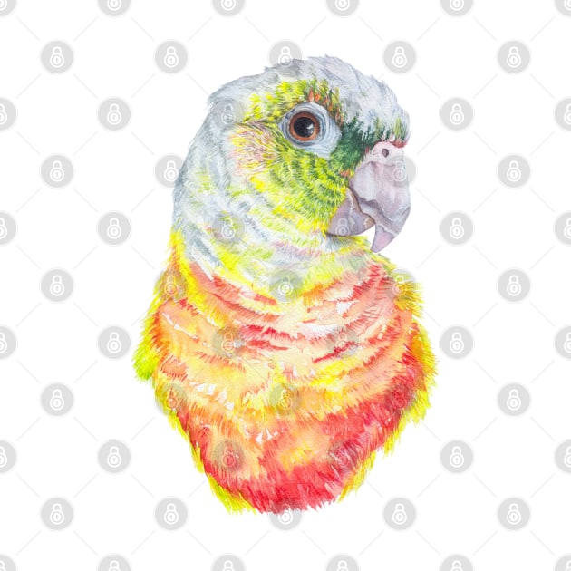 Green Cheeked Conure by ZoyaArt