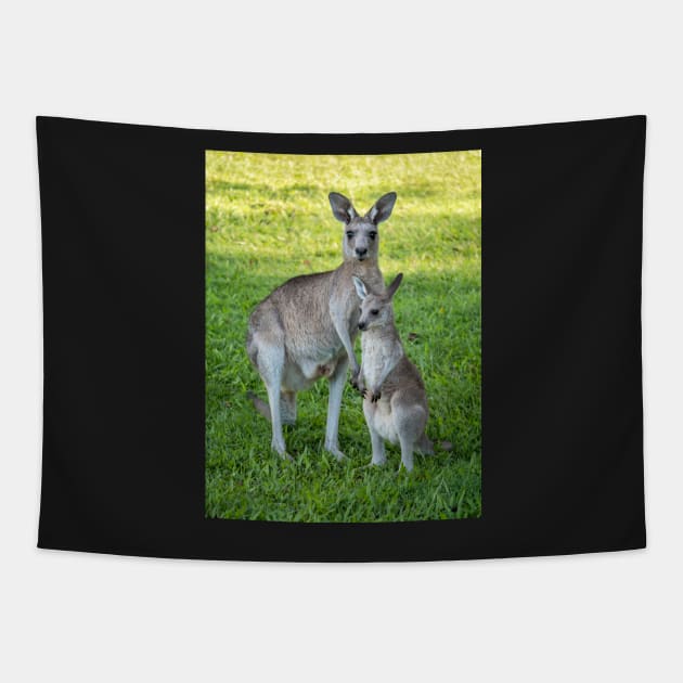 Eastern Grey Kangaroo and Joey Tapestry by AndrewGoodall