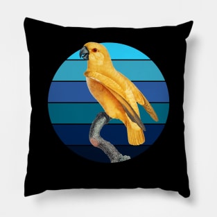 Senegal parrot Retro sunset Pillow