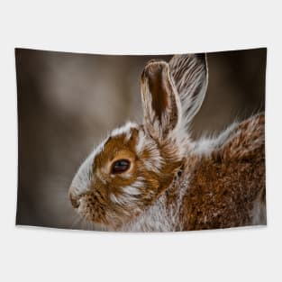 Show Shoe Hare Tapestry