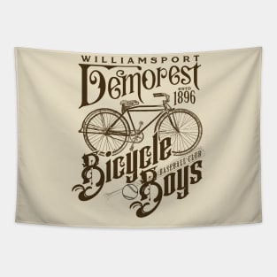 Williamsport Demorest Bicycle Boys Tapestry