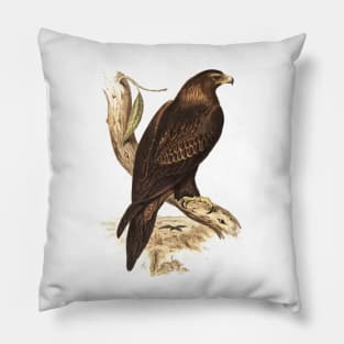 Wedged tailed eagle Pillow