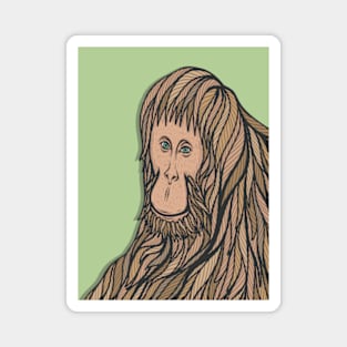 Innocent Orangutan Magnet