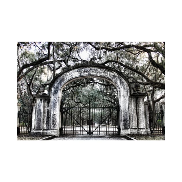 The Gates to Wormsloe Plantation by tgass