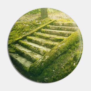 green moss stair steps Pin