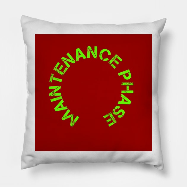 Maintenance phase Pillow by Fashionkiller1