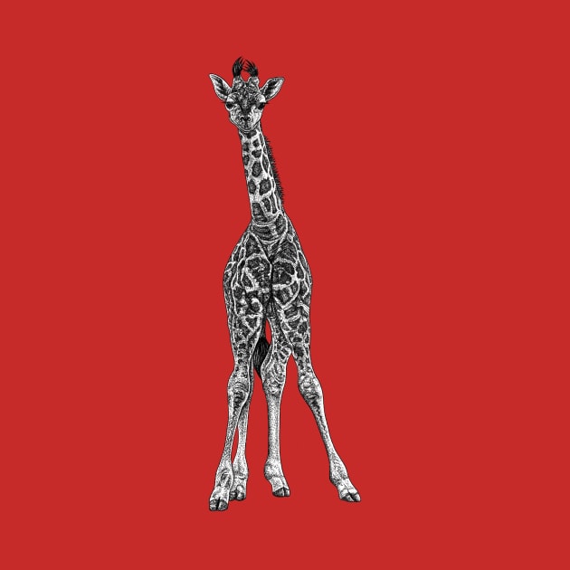 Baby giraffe - ink illustration by lorendowding