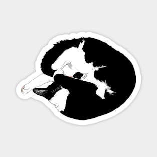 Cute Tuxedo cat sleeping Kitty Pie. Donut eat me  Copyright TeAnne Magnet