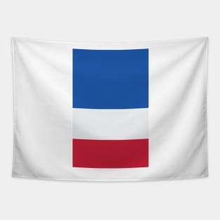 Glasgow Rangers Tricolour Design Tapestry