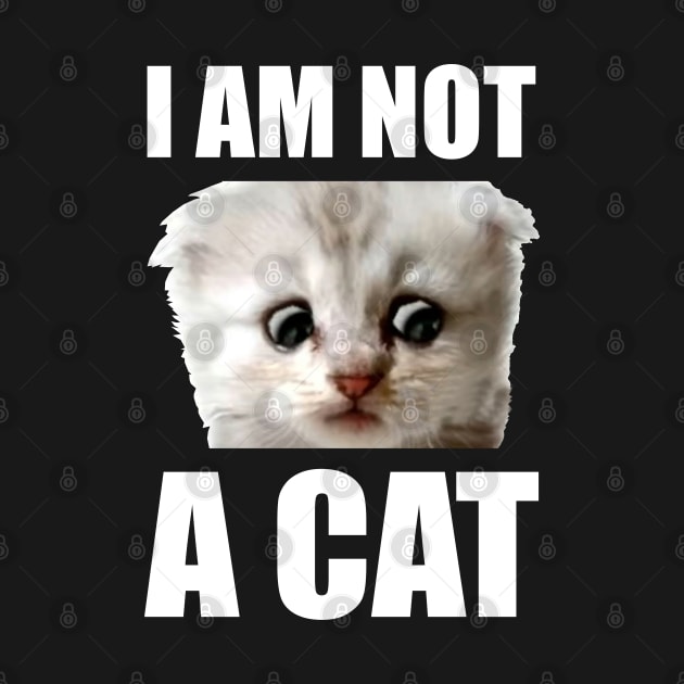 I Am Not A Cat by BAH