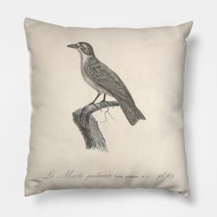 The Blackbird Palm Natural history of vintage birds of North America Pillow