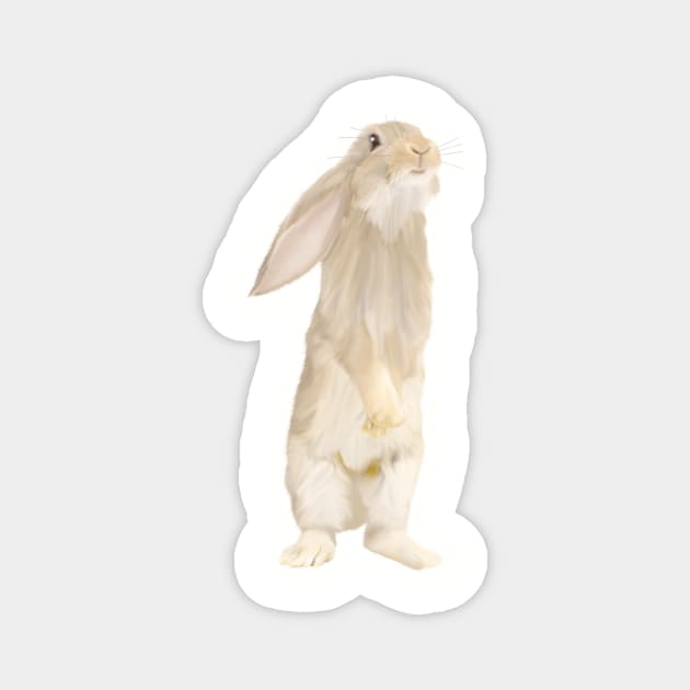 Adorable Fluffy Bunny Magnet by ColorFlowCreations