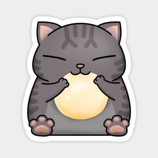 Chubby Cat White Dango Magnet