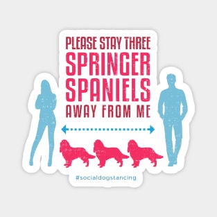 Springer Spaniel Social Distancing Guide Magnet