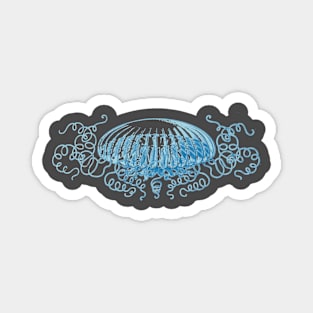 jellyfish Magnet