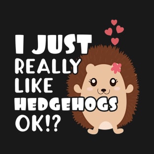 Cute Hedgehog Gift Gift I Just Really Like Hedgehogs OK? T-Shirt