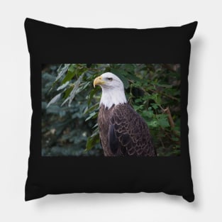 American Bald Eagle Pillow