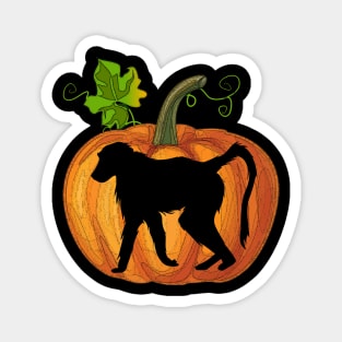 Monkey in pumpkin Magnet