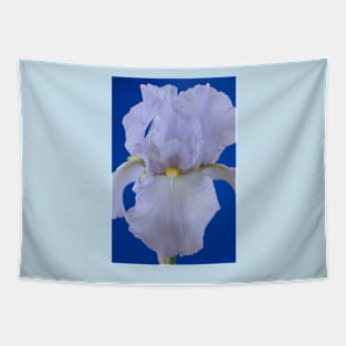 Bearded iris Tapestry