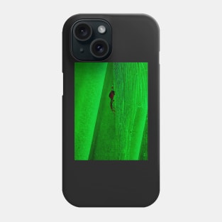 Black and red spider in its green web Phone Case