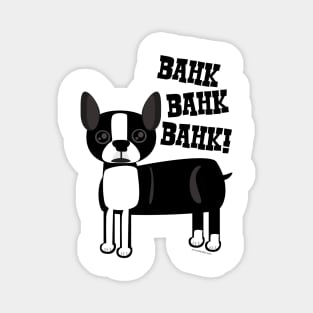 Boston Accent Terrier Magnet