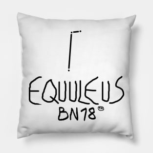 Equuleus Constellation by BN18 Pillow