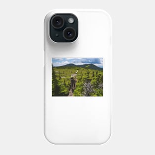 Appalachian Trail Painting Phone Case