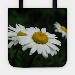 Daisies in bloom Tote