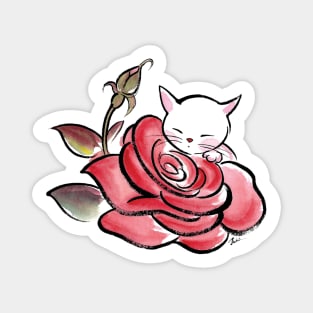 Rose cat Magnet