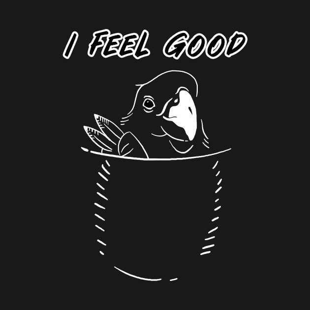 i feel good - bird in my pocket by supersonic.std