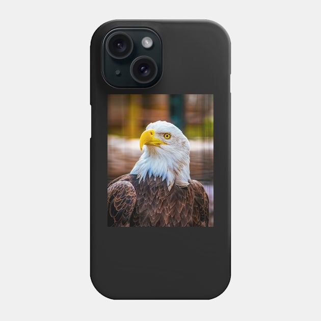 Bald Eagle Phone Case by SAINTSPHOTOS