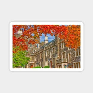 Princeton University Magnet