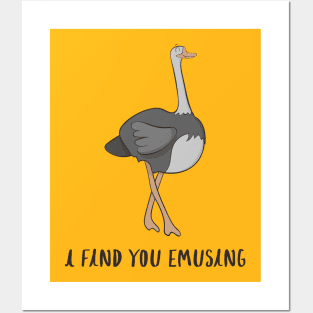 Funny Emu Bird Gifts, Funny Emo Music Quote - Emu Bird Gift