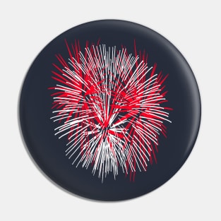 Light Up The Night Sky Colorful Fireworks Celebrations 9 Pin