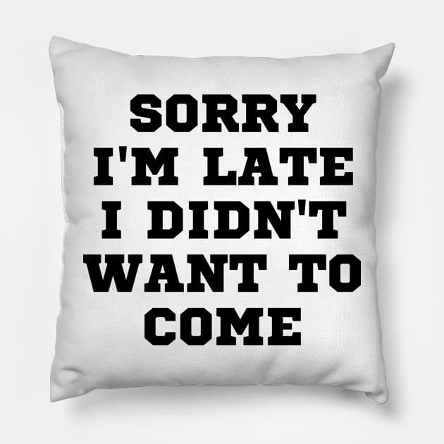 Funny Sayings Pillow by TShirtHook