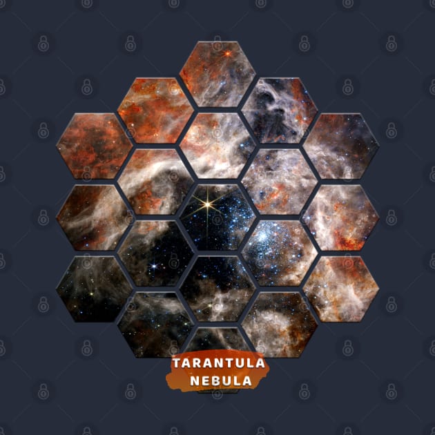 Tarantula Nebula: James Webb Space Telescope by Da Vinci Feather