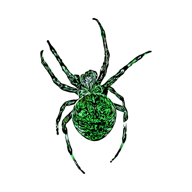 Green Spider Fierce Orb-Weaver by Griffelkinn